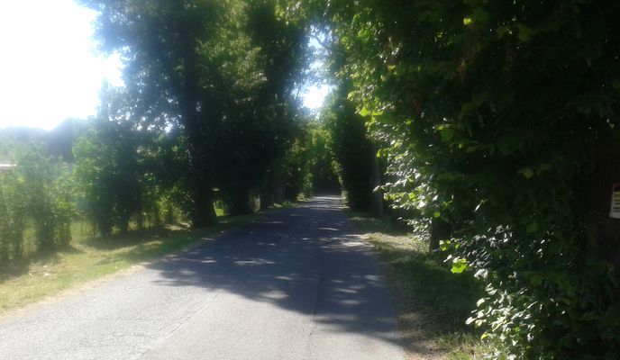 Foto 1 del percorso Bikemap "Duże Koło przez Tczew"