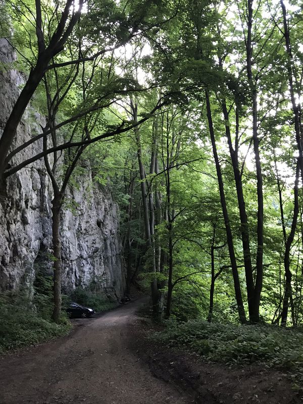 Łazy 143, Jerzmanowice-Przeginia do Łazy 143, Jerzmanowice-Przeginia