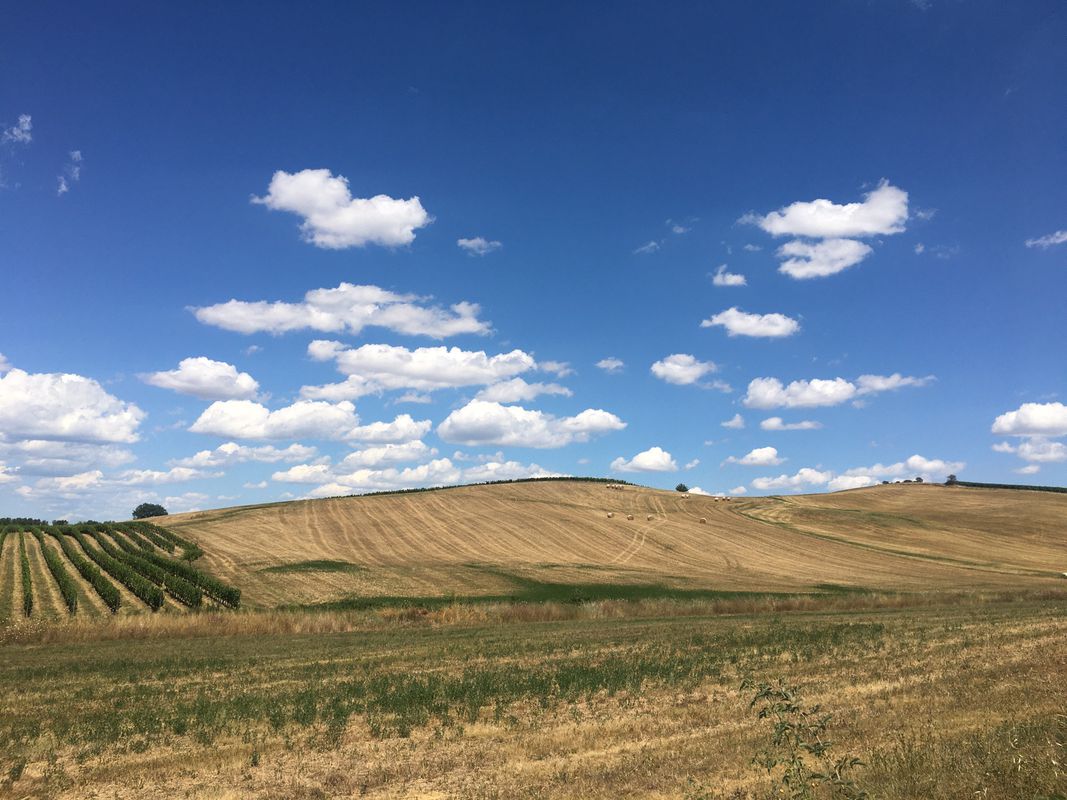 Eroica 119km +2532 (Montalcino)