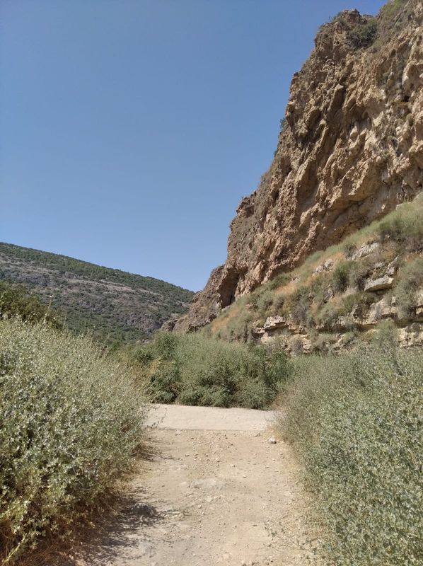 From Jerusalem - Zuba - to Biet Shemesh