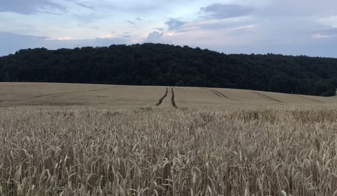 Photo 2 of the Bikemap route "Leśna 37, Bolechowice do Leśna 37, Bolechowice"