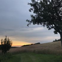 Leśna 37, Bolechowice do Leśna 37, Bolechowice