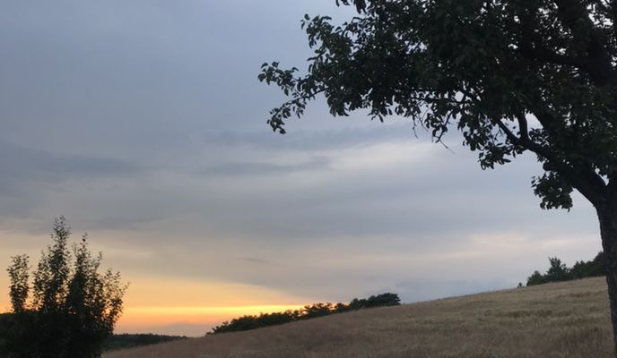 Photo 1 of the Bikemap route "Leśna 37, Bolechowice do Leśna 37, Bolechowice"