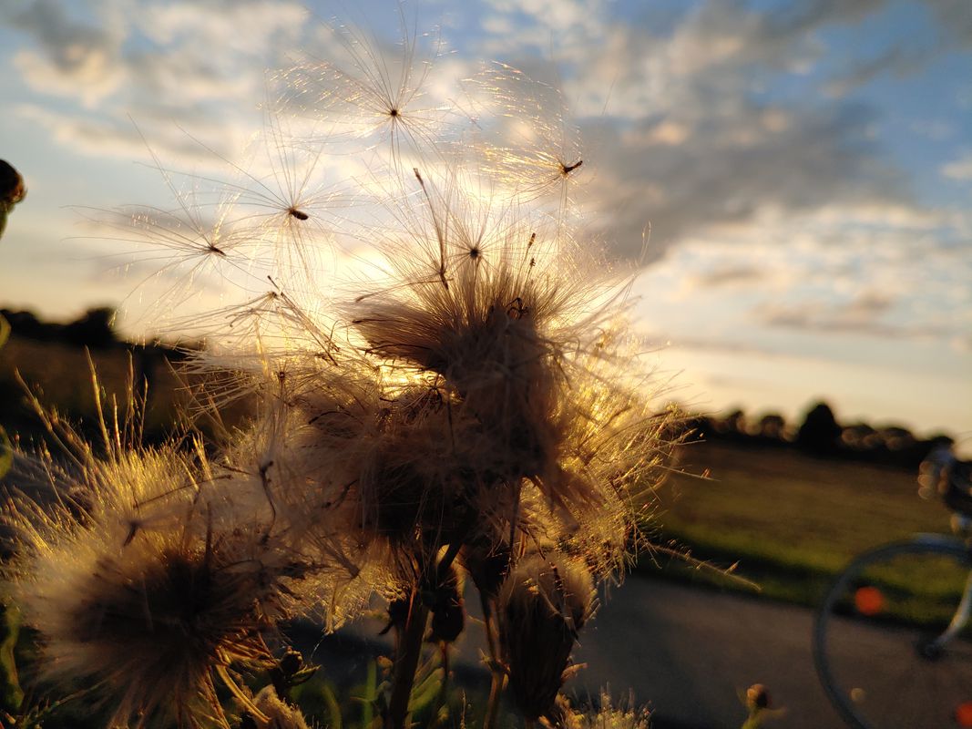 Auhagener Straße 22, Wunstorf nach Auhagener Straße 22, Wunstorf