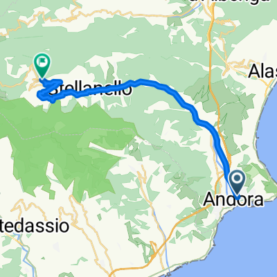 andora-testico
