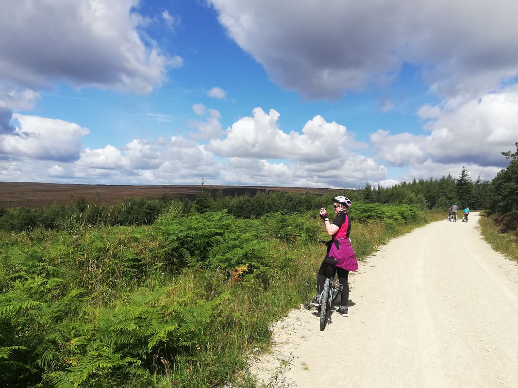 Crompton circular from Kelby