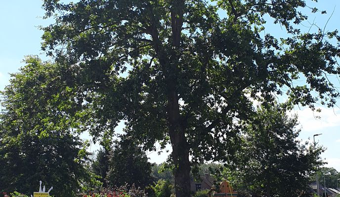 Foto 2 de la ruta de Bikemap "Kattenstraat 25, Sint-Truiden naar Speelhoflaan 5, Sint-Truiden"