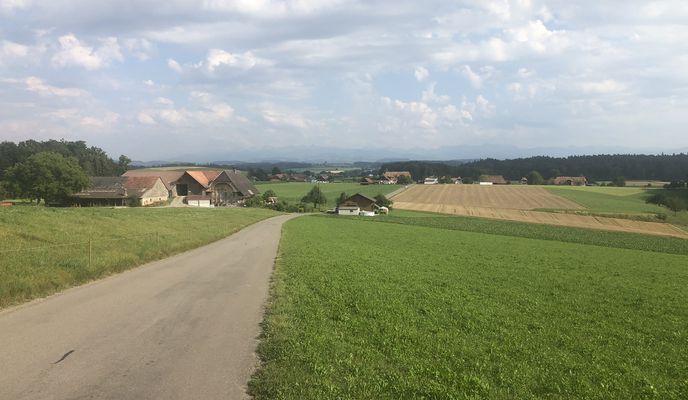 Photo 2 of the Bikemap route "Murten senza los ciclistas contra kcal..."