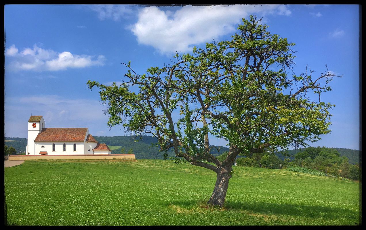 Kleiner Abstecher nach Roggenburg