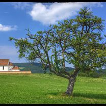 Kleiner Abstecher nach Roggenburg