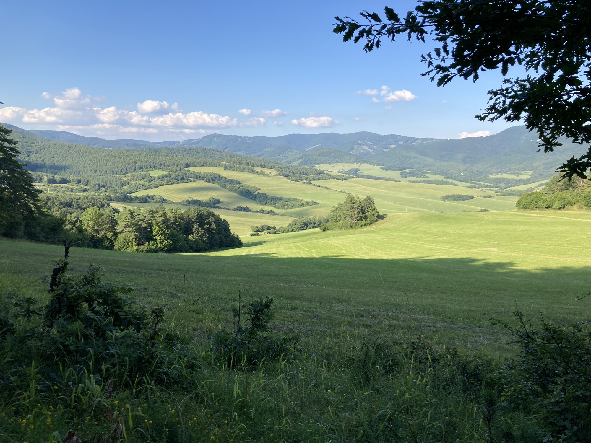 Moderate route in Uhrovec