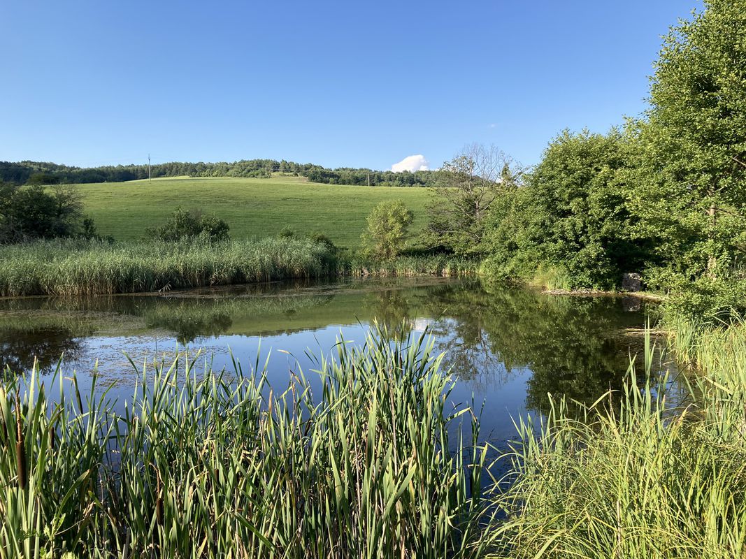 Moderate route in Uhrovec