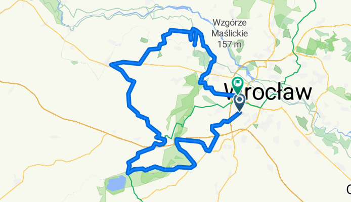 Kołko płaskei 100