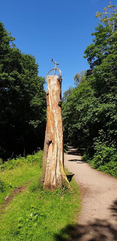 Trewyddfa Road 60, Plasmarl to Cefn Bryle Isaf