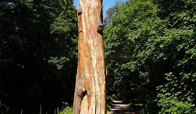 Foto 1 der Bikemap-Route "Trewyddfa Road 60, Plasmarl to Cefn Bryle Isaf"