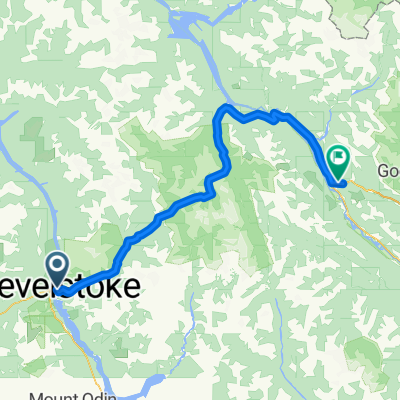 从304 3rd St W, 雷维斯托克出发的路线