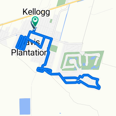 226 Wade St, Luling to 216 Wade St, Luling