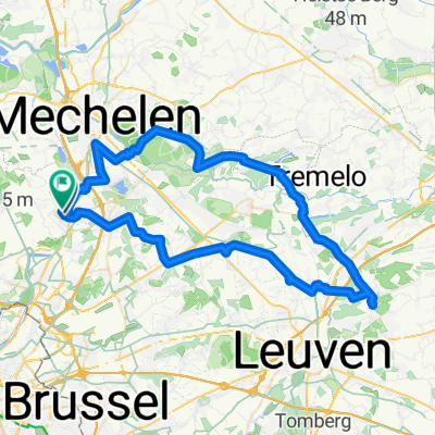 Chartreuze op zijn best