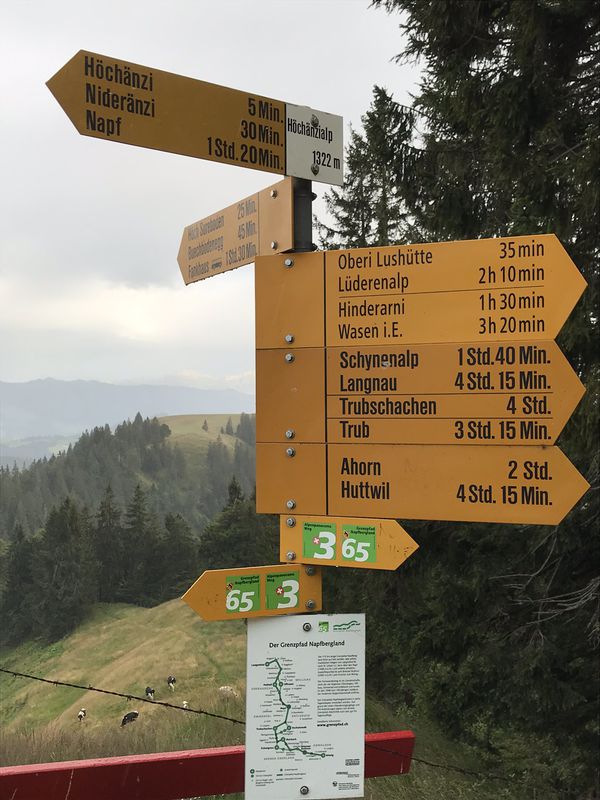 Steady ride in Zollbrück