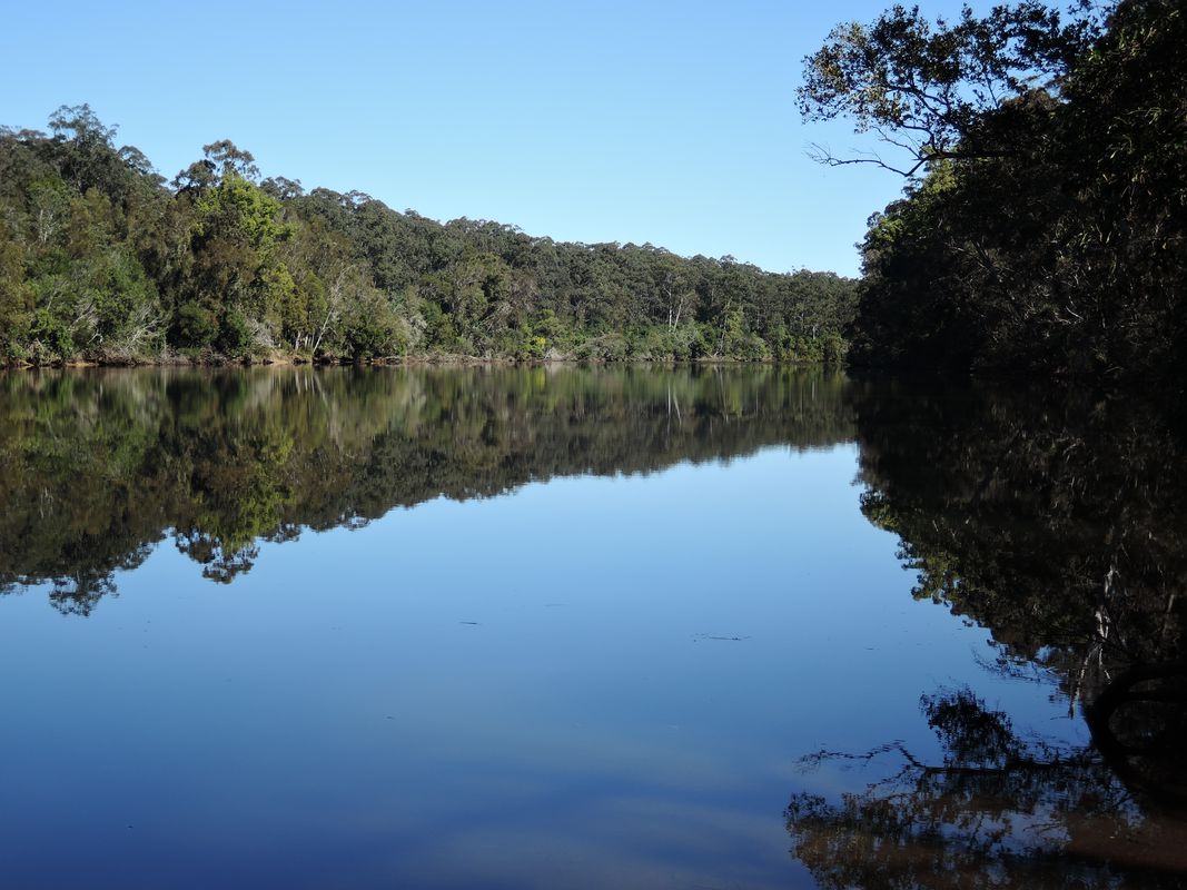 Sawtell to Bellingen loop