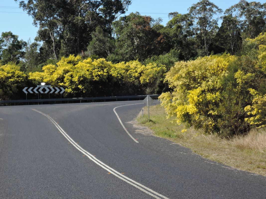 Sawtell to Bellingen loop