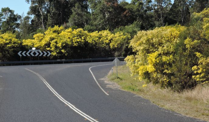 Photo 2 of the Bikemap route "Sawtell to Bellingen loop"