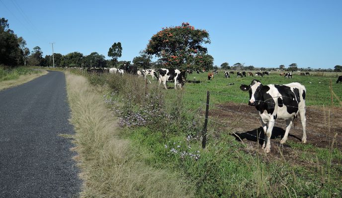 Photo 1 of the Bikemap route "Sawtell to Bellingen loop"