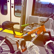 35 Cranleigh Dr SE, Calgary to 80 Somervale Pk SW, Calgary