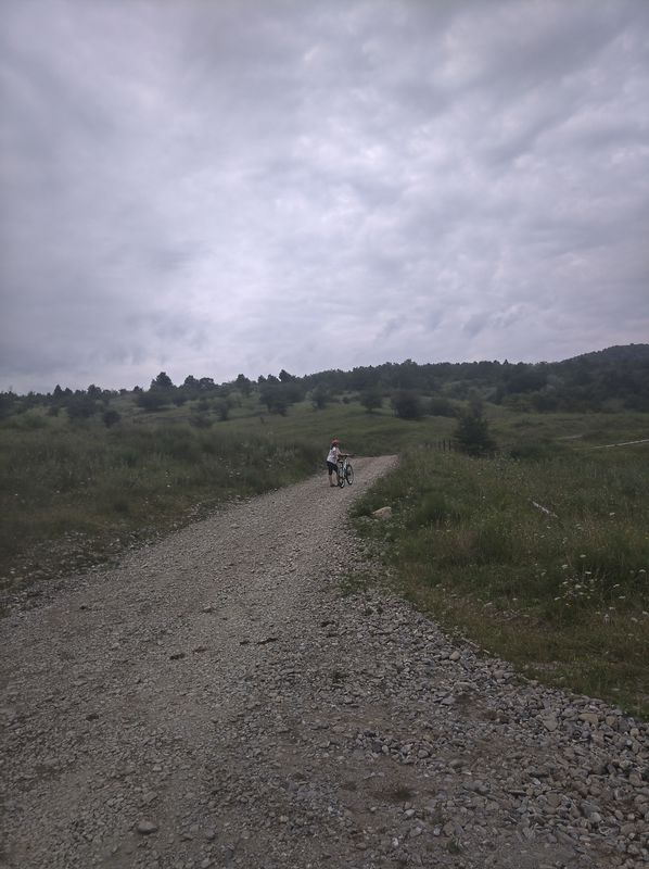 Bordenii Mici - Țontești - Buștenari
