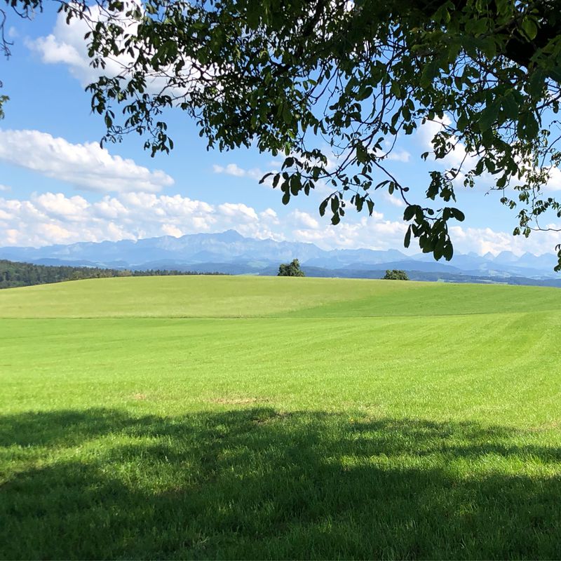 Route Bettwiesen - Wil Aussichtsturm - übers Land