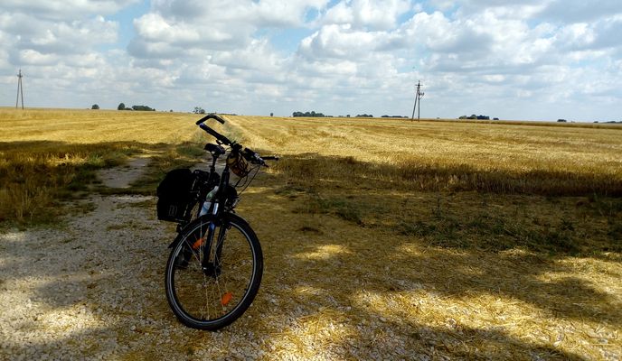 Photo 1 of the Bikemap route "Wokół Płońska"