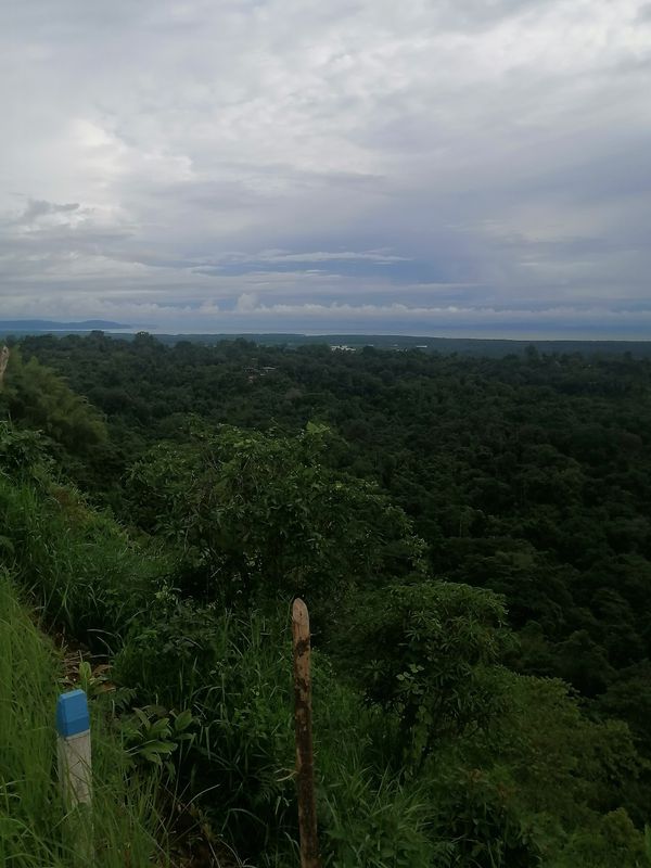 De Unnamed Road, Ciudad Cortés a Ciudad Cortés