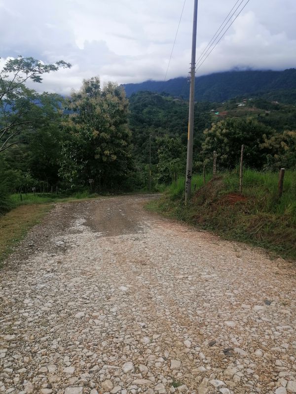 De Unnamed Road, Ciudad Cortés a Ciudad Cortés