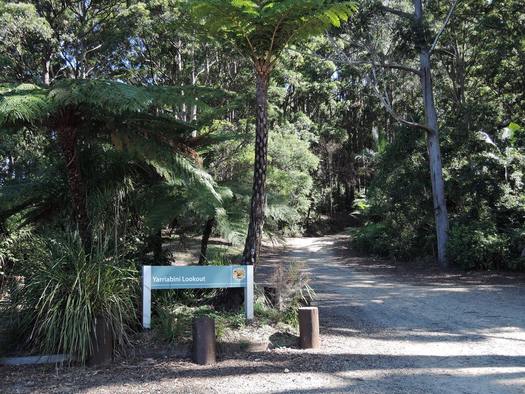 Mt Yarrahapinni climb