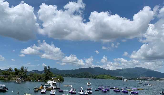 Photo 2 of the Bikemap route "Science Park East Avenue, Science Park to 12 Science Park East Avenue, Science Park"