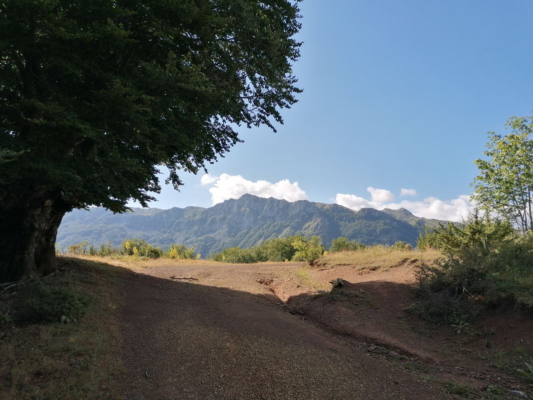 Unnamed Road, Osoji to Municipality of Debar