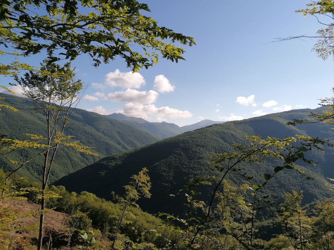 Unnamed Road, Osoji to Municipality of Debar