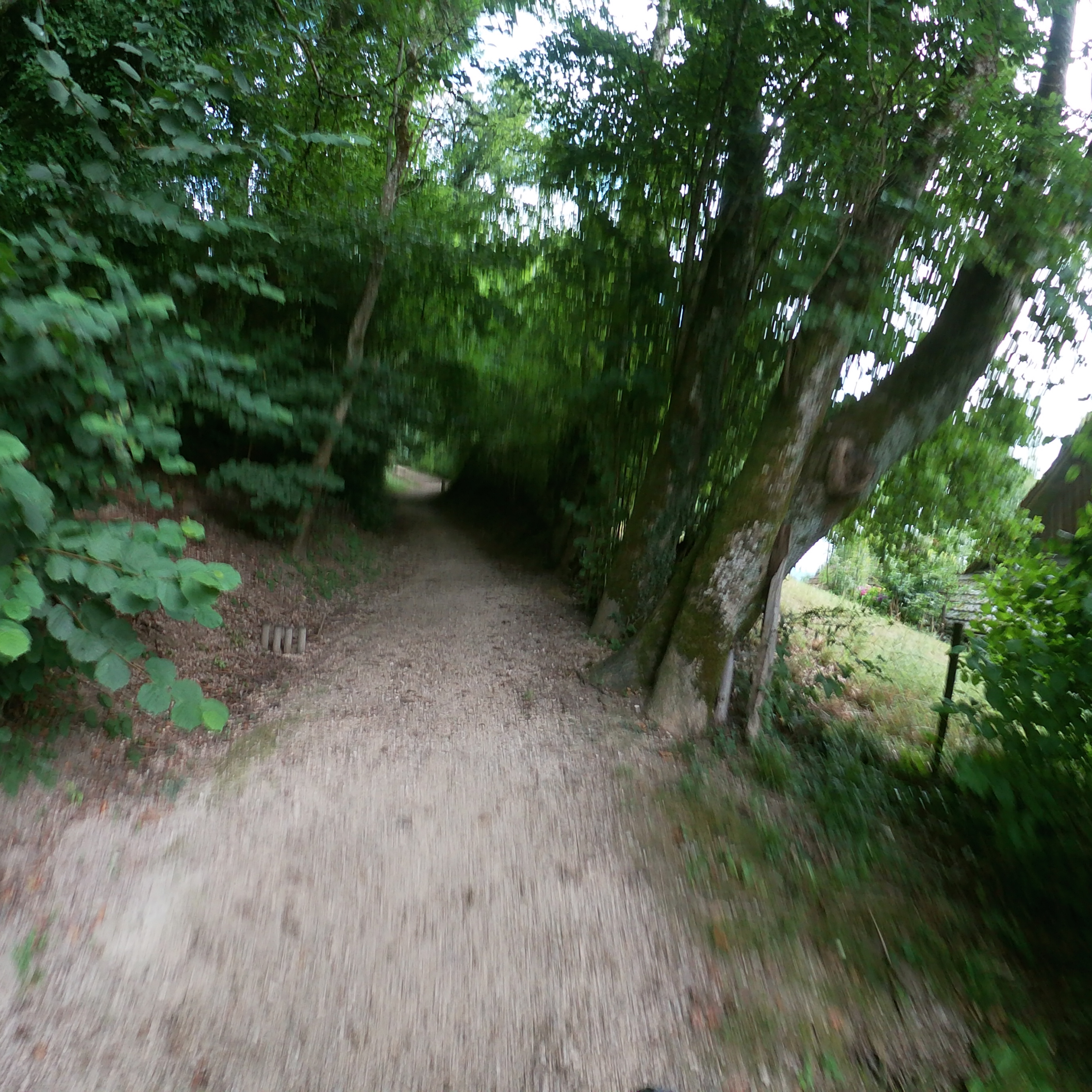Fulenbach , Roggwill, Zofingen, Wangen