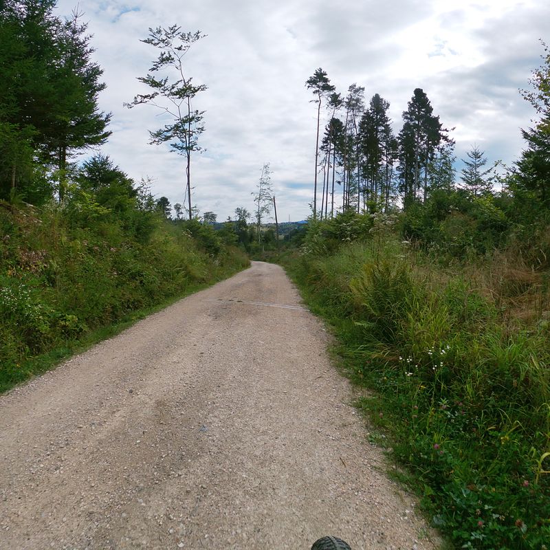Fulenbach , Roggwill, Zofingen, Wangen