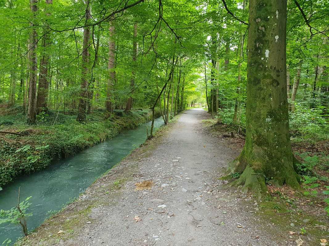 Mooswiesstrasse 10, Reichenburg nach Horgenberg 187, Glarus Süd