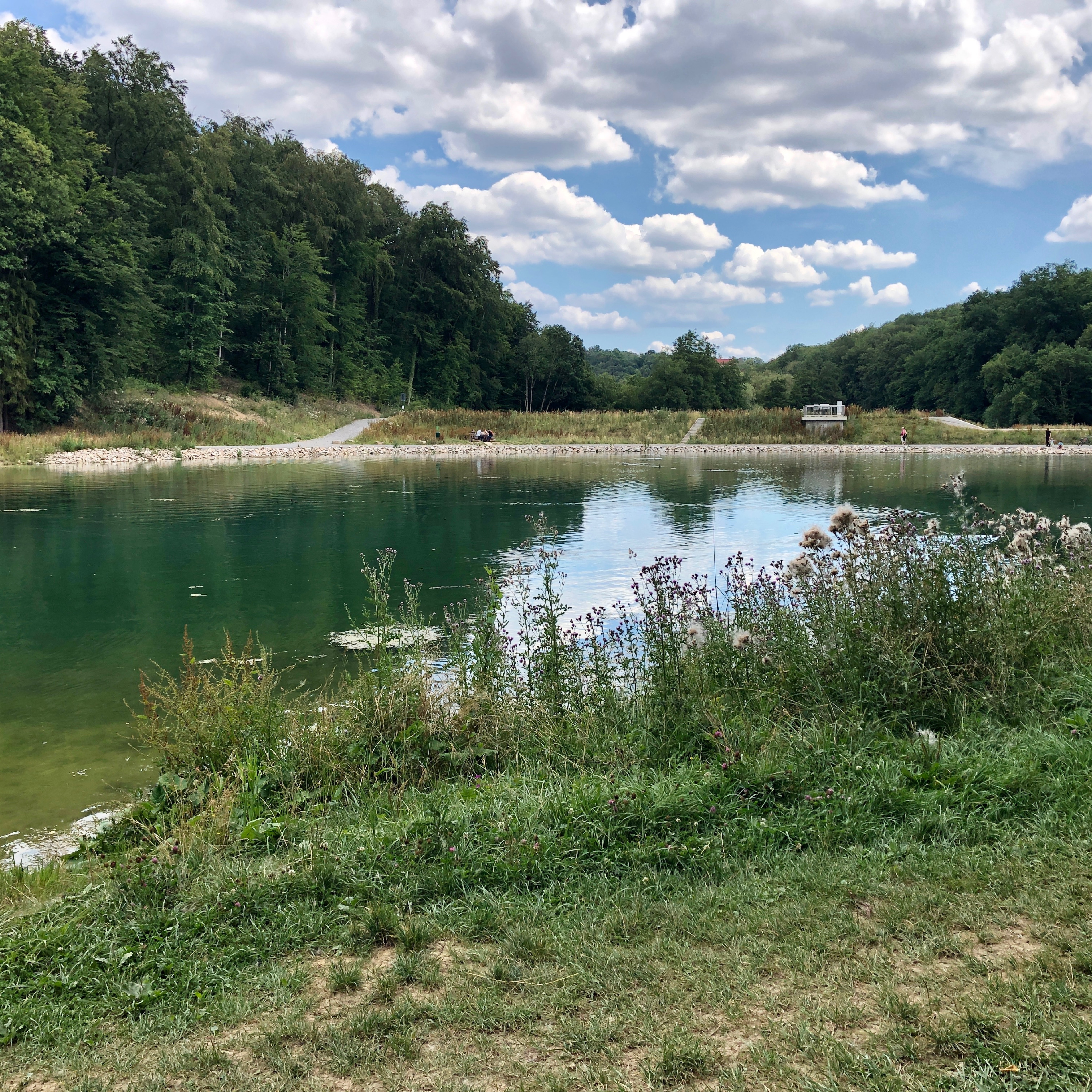Wiernsheim - Paulinensee und zurück