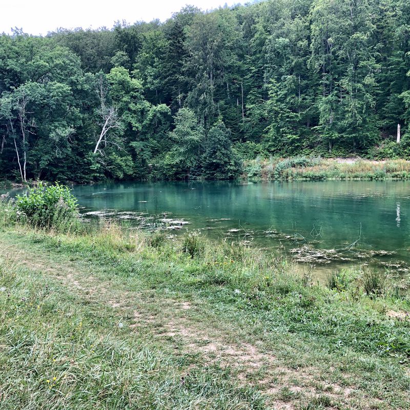 Wiernsheim - Paulinensee und zurück