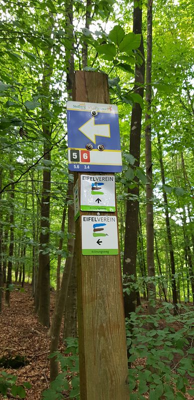 Hügelige schöne Laufroute an der Ficht und im Wald