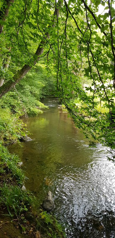 Hügelige schöne Laufroute an der Ficht und im Wald