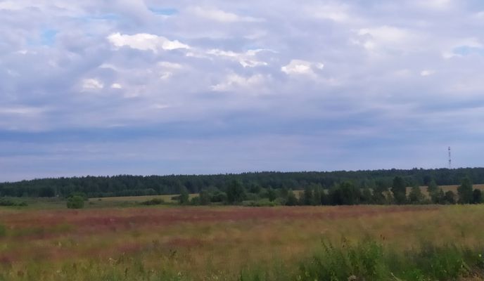 Photo 2 de l’itinéraire Bikemap « Дом- Козлово »