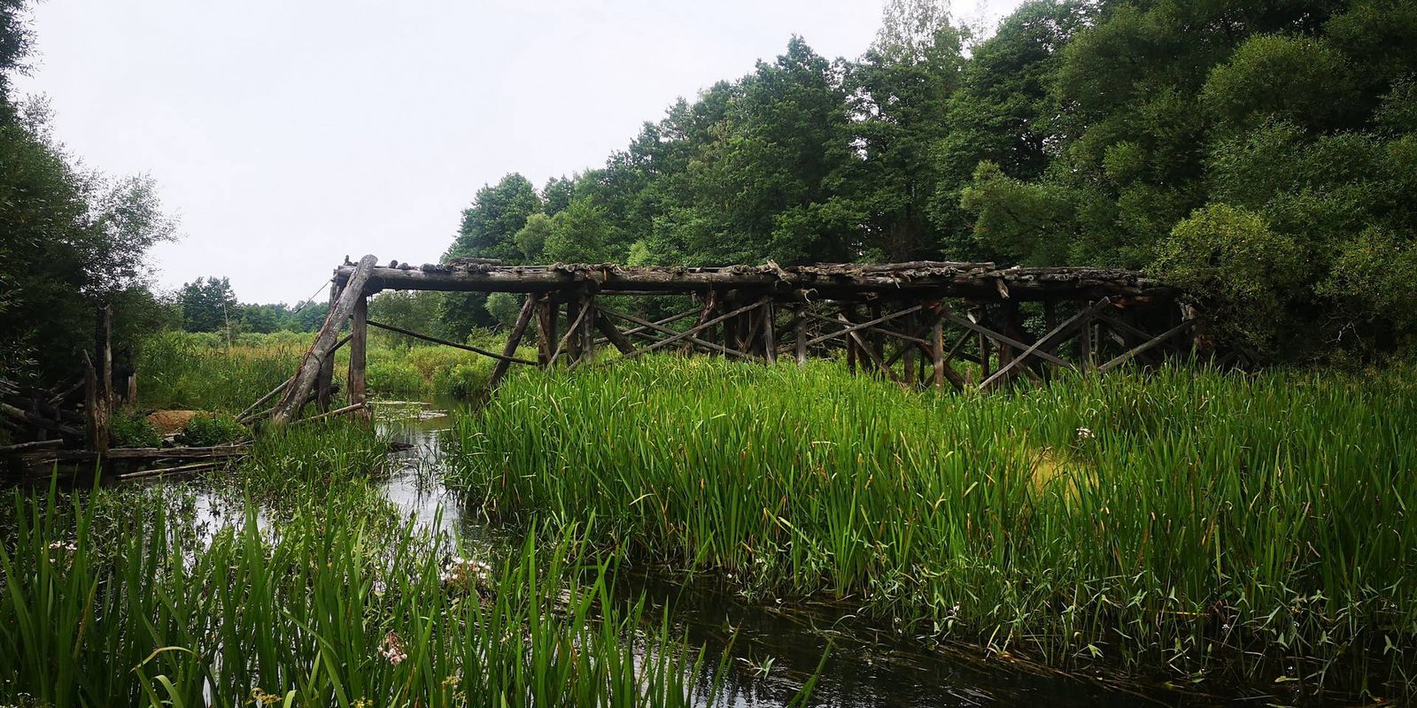 2020 07 25 Скачальскае возера - Асіповічы