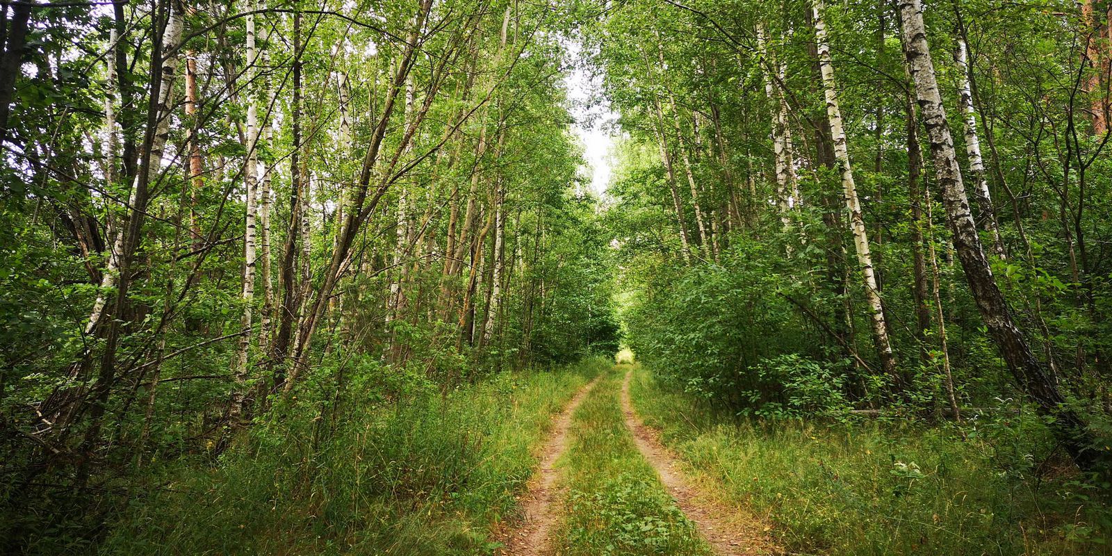 2020 07 25 Скачальскае возера - Асіповічы