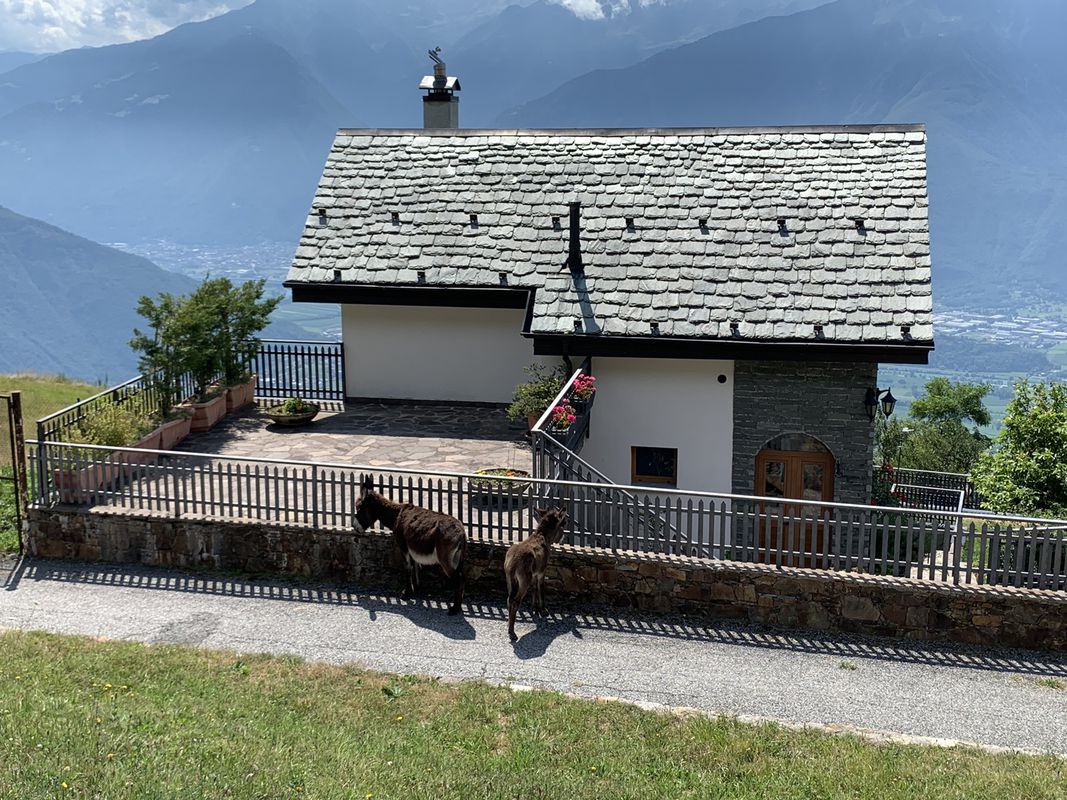 Camping La Grande Quiete, Alpe di Mezzo