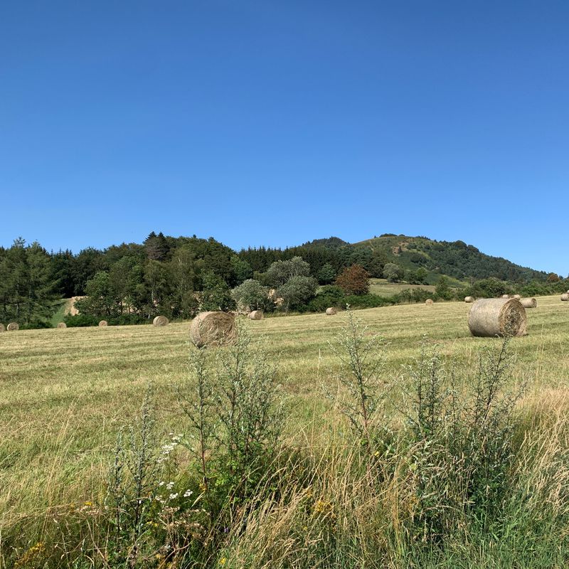 J-7: avec un passage à Vulcania