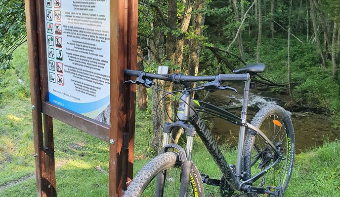 Photo 2 de l’itinéraire Bikemap « DC96 34, Gărâna to DC96 25, Gărâna »